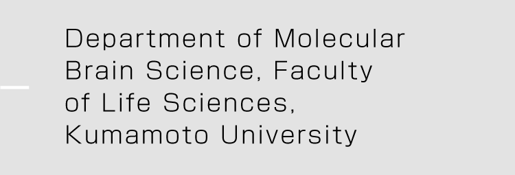 Department of Molecular Brain Science, Faculty of Life Sciences, Kumamoto University